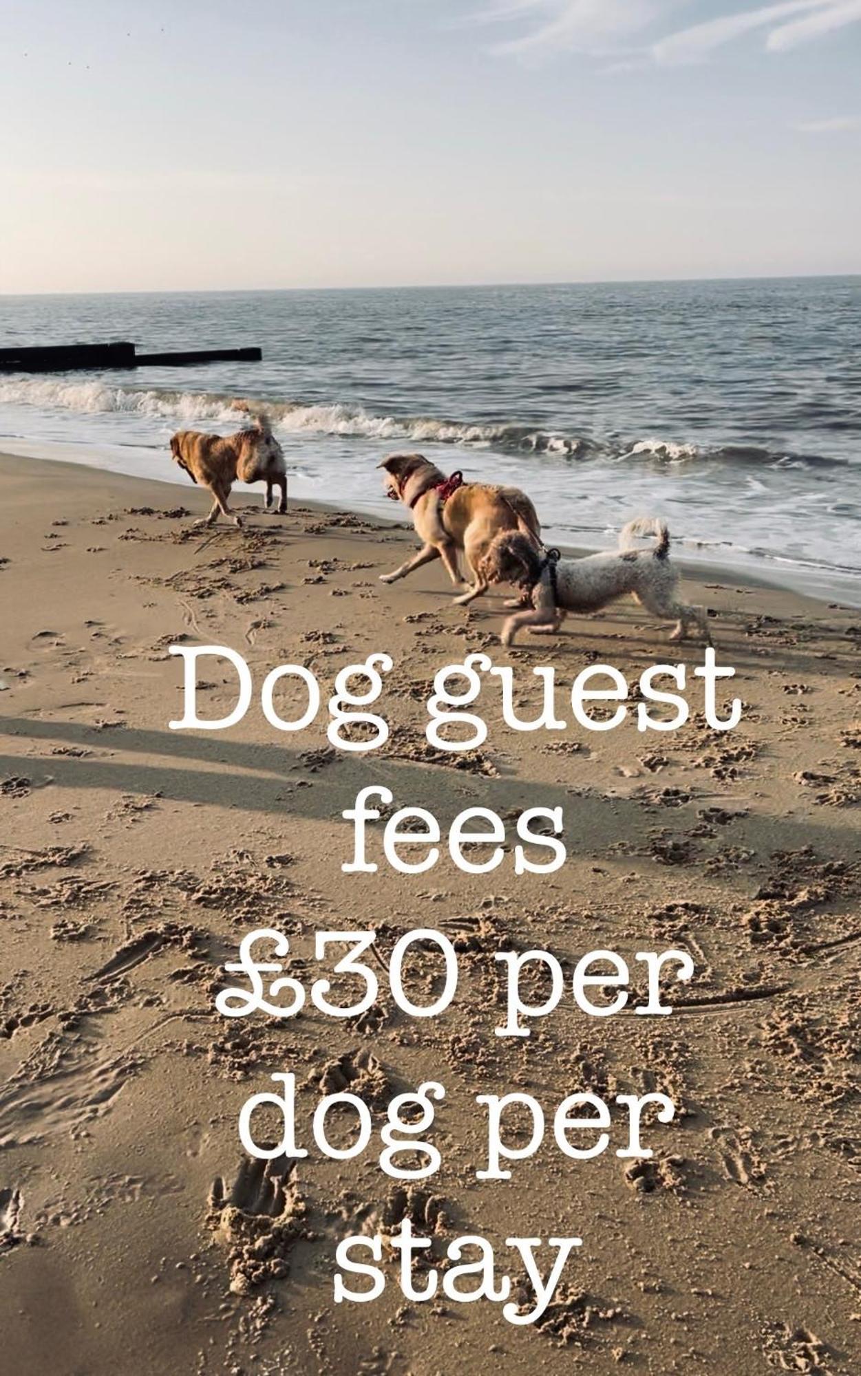 Coastal Terrace Dogs Welcome Optional Hot Tub Villa Sea Palling Ngoại thất bức ảnh